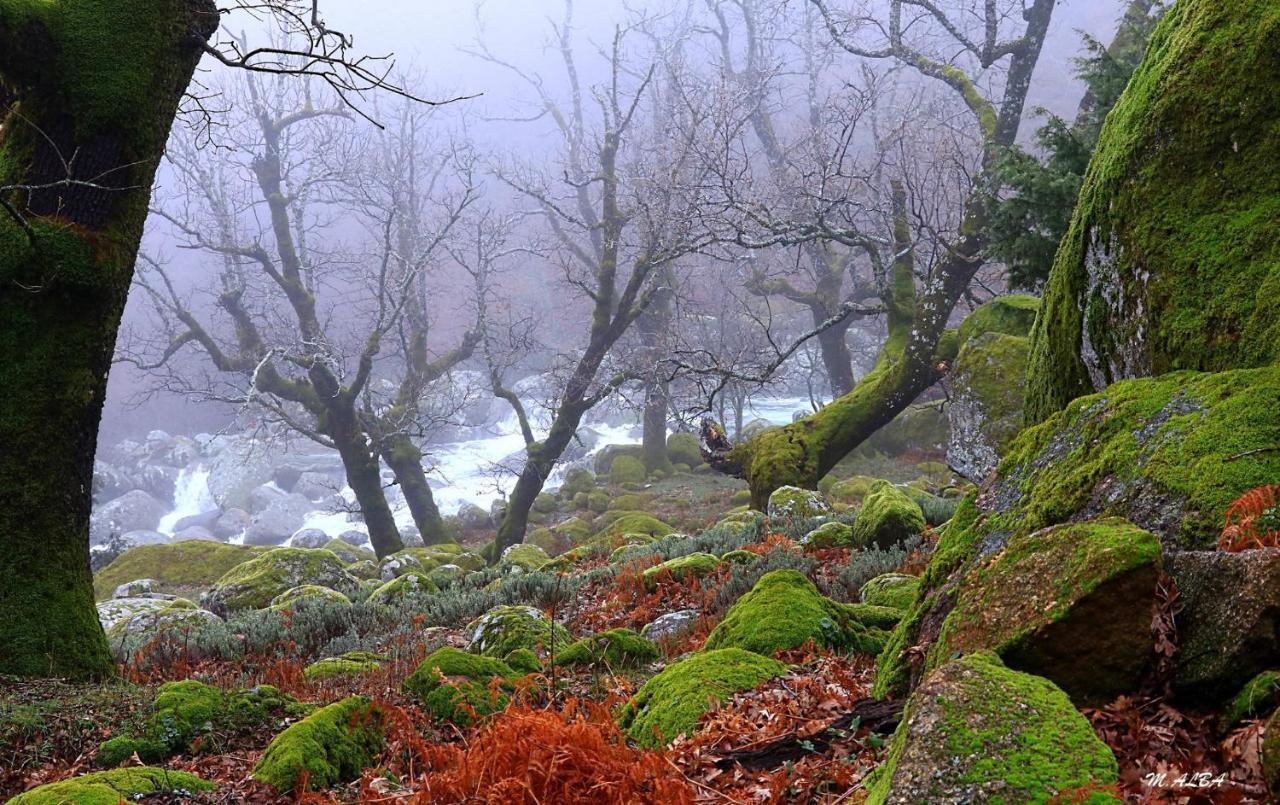 Tinao De Gredos Villa Barajas de Gredos Exterior foto